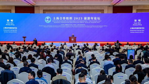 旅游點(diǎn)亮文明互鑒之光 上合組織秘書長張明談旅游作為文化交流與對話互動(dòng)的重要方向